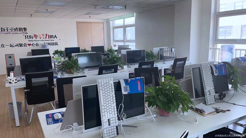 市场调研公司的最新动态及发展趋势